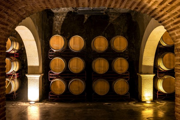 Vin primeur 2022 : comment savoir s'il sera de bonne qualité ?